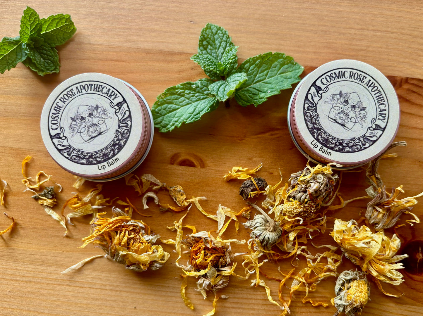 .5 oz Cool Calendula Lip balm