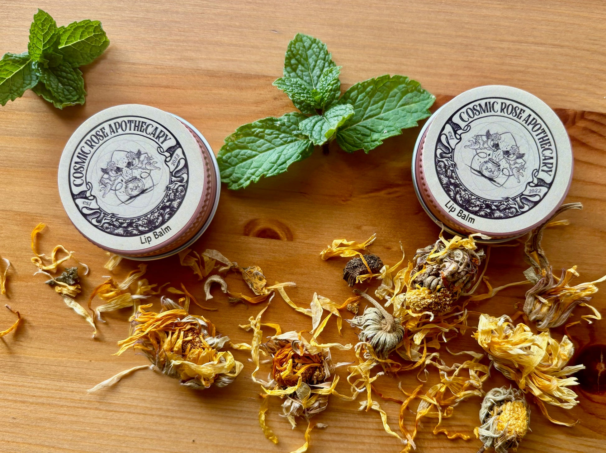 .5 oz Cool Calendula Lip balm by Cosmic Rose Apothecary